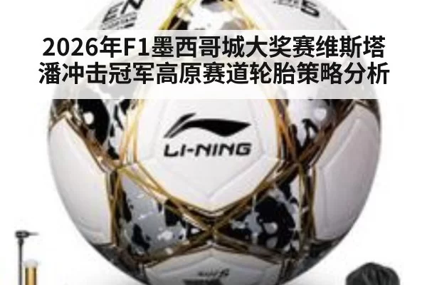 2026年F1墨西哥城大奖赛维斯塔潘冲击冠军高原赛道轮胎策略分析