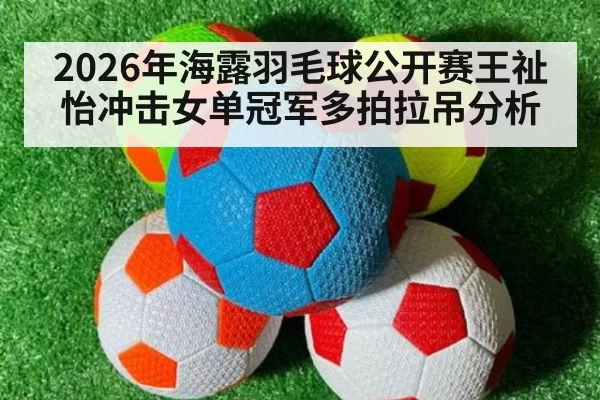2026年海露羽毛球公开赛王祉怡冲击女单冠军多拍拉吊分析